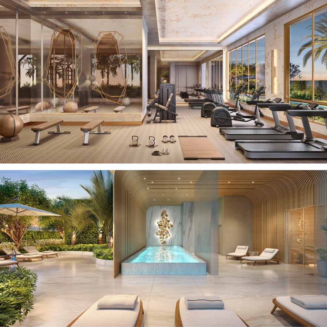 Perspectiva Ilustrada do Fitness